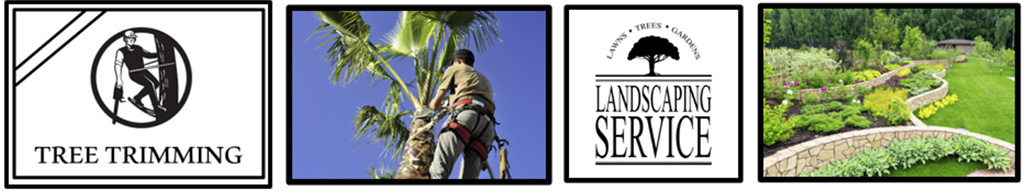 Sharp Business Brokers